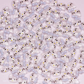 (Clear & Blue) 100 pcs Cute Resin Hell0 Kitty Design Nail Charms